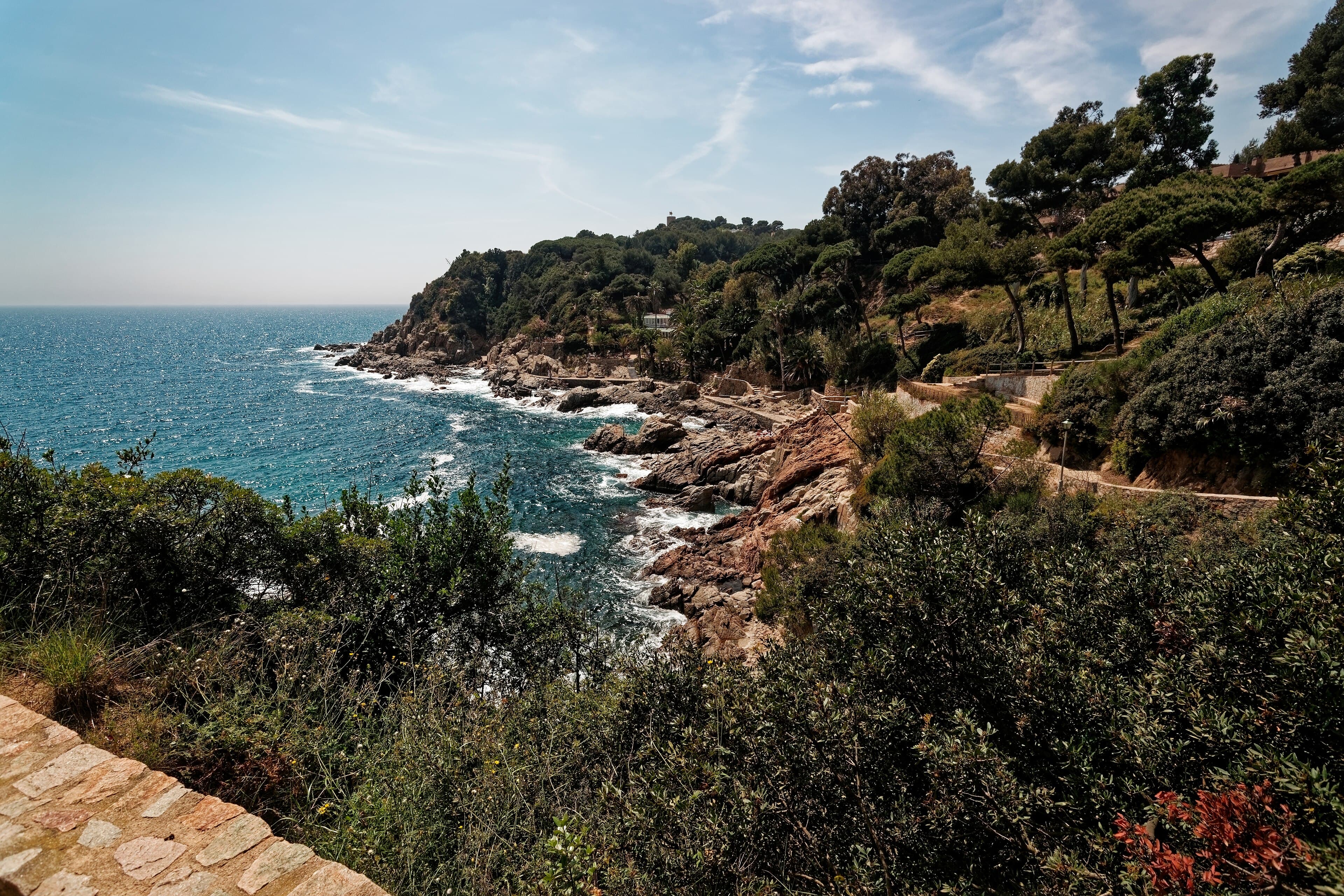 Costa de la Costa Brava, acantilados con pinos sobre el Mediterráneo